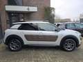 Citroen C4 Cactus 1.2 PureTech Shine Apk |Navi |Camera |PDC Weiß - thumbnail 3