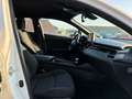 Toyota C-HR 1.2 Dynamic | Navi + Camera + Clima + Cruise Nu € Weiß - thumbnail 7