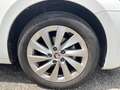 Skoda Octavia 2.0 TDI 150 ch SCR DSG7 Selection Blanc - thumbnail 19