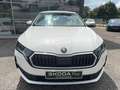 Skoda Octavia 2.0 TDI 150 ch SCR DSG7 Selection Blanc - thumbnail 1