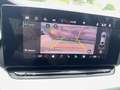 Skoda Octavia 2.0 TDI 150 ch SCR DSG7 Selection Blanc - thumbnail 12