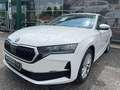 Skoda Octavia 2.0 TDI 150 ch SCR DSG7 Selection Blanc - thumbnail 5