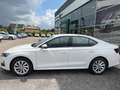 Skoda Octavia 2.0 TDI 150 ch SCR DSG7 Selection Blanc - thumbnail 22