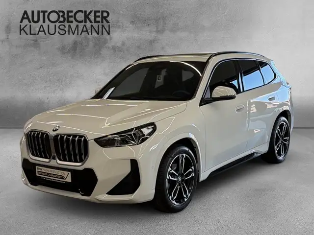 BMW X1 main image