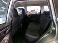 Subaru Forester 2,0ie Mild-Hybrid TREND ACC+LED+SHZ+LM Grün - thumbnail 11