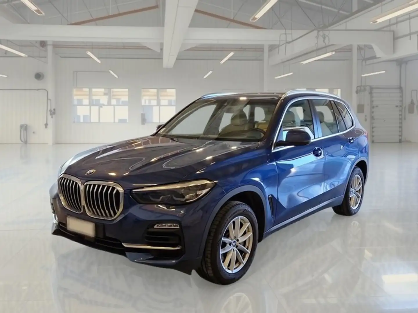 BMW X5 xDrive 25d Business autom. - 1