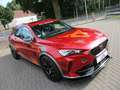 CUPRA Formentor VZ 4Drive Pano/AHK/19"/DCC/ACC/Beats Rot - thumbnail 9