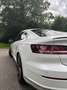 Volkswagen Arteon 1.5 TSI Business 3xR Line,  20 inch, PANO, LED, !! Wit - thumbnail 7