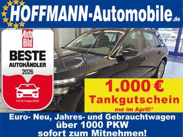 Ambition Kamera,Smart Link+,Navi,PDC