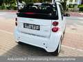 smart forTwo Cabrio Passion KLIMA/1.HAND/SITZH/BRABUS Blanc - thumbnail 4