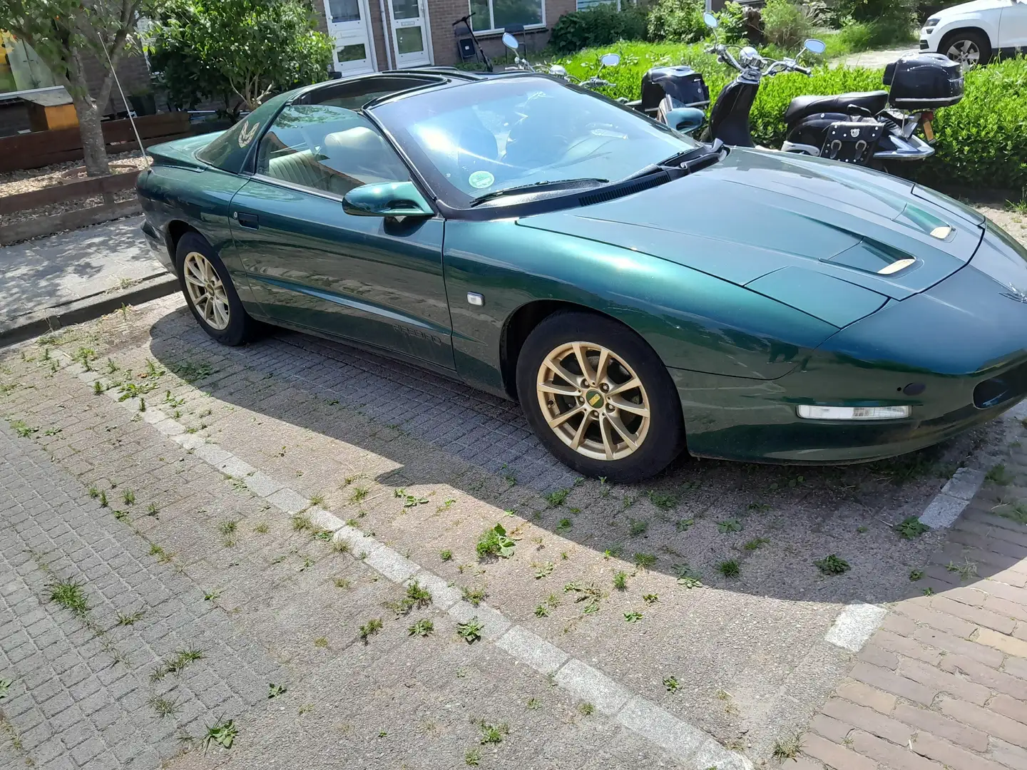 Pontiac Firebird 3.4l v6 targa dak Groen - 1