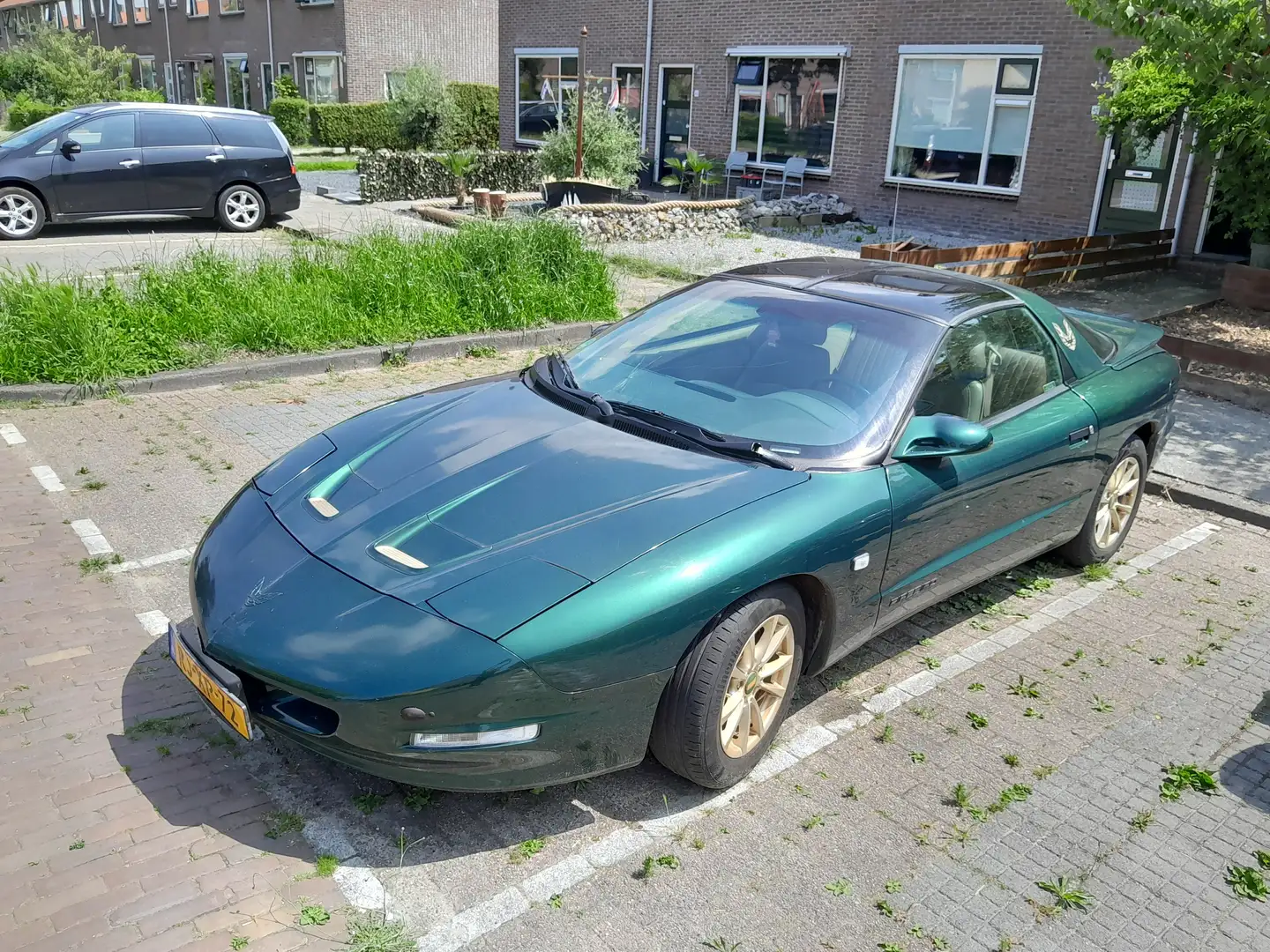 Pontiac Firebird 3.4l v6 targa dak Groen - 2