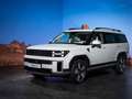 Hyundai SANTA FE 1.6 T-GDi HEV 4WD AT 7 posti XCLASS Marrone - thumbnail 11
