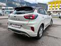 Ford Puma Puma 1,0 Ec Hybrid ST-Line Vignale ST-Line Vignale Weiß - thumbnail 6