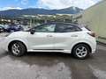 Ford Puma Puma 1,0 Ec Hybrid ST-Line Vignale ST-Line Vignale Weiß - thumbnail 11
