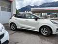 Ford Puma Puma 1,0 Ec Hybrid ST-Line Vignale ST-Line Vignale Weiß - thumbnail 5