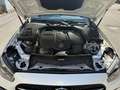 Mercedes-Benz E 220 Classe E  Cabrio d Premium Plus auto my20 * GANCIO Bianco - thumbnail 10