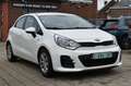 Kia Rio 1.2i*Garantie 1an* 198€ PAR MOIS SANS ACOMPTE Wit - thumbnail 1