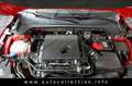 Ford Focus ST-Line*1.Hand*LED*Navi*Kamera*18Zoll*DAB* Rojo - thumbnail 27