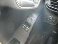 Ford Fiesta Trend Klima Heizb. WSS Burdeos - thumbnail 9