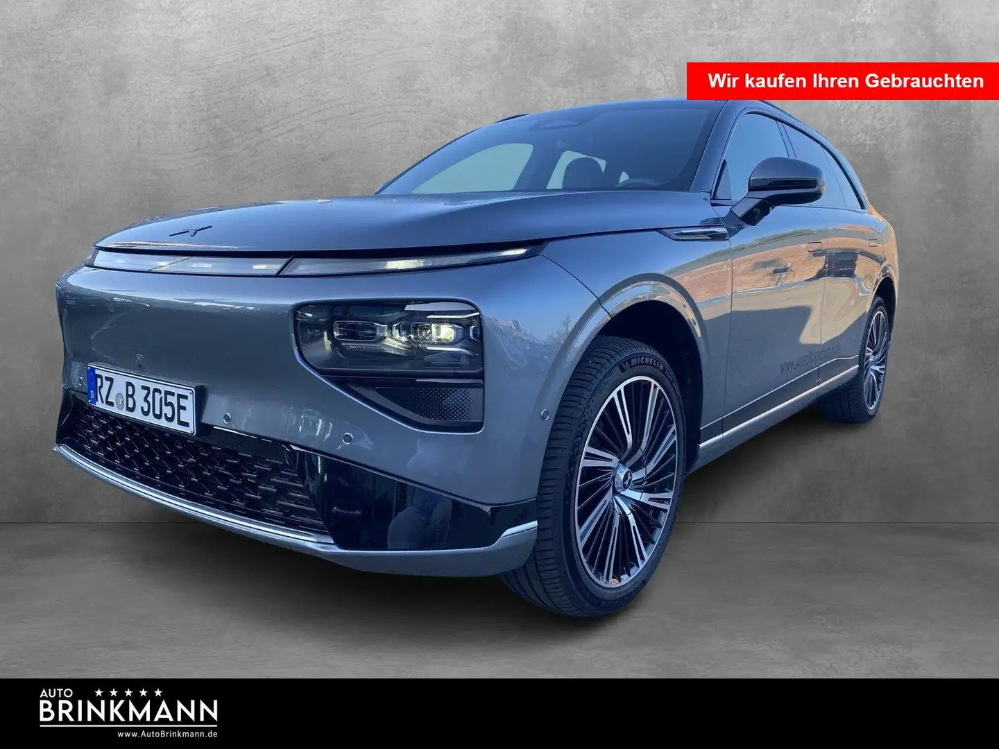 Xpeng G9 G9 AWD Performance Premium Seat & Audio Pack Gris - 1