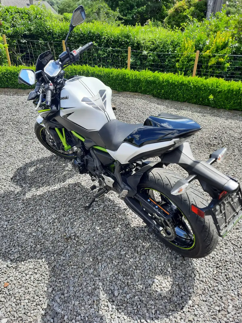 Kawasaki Z 650 ABS Wit - 2