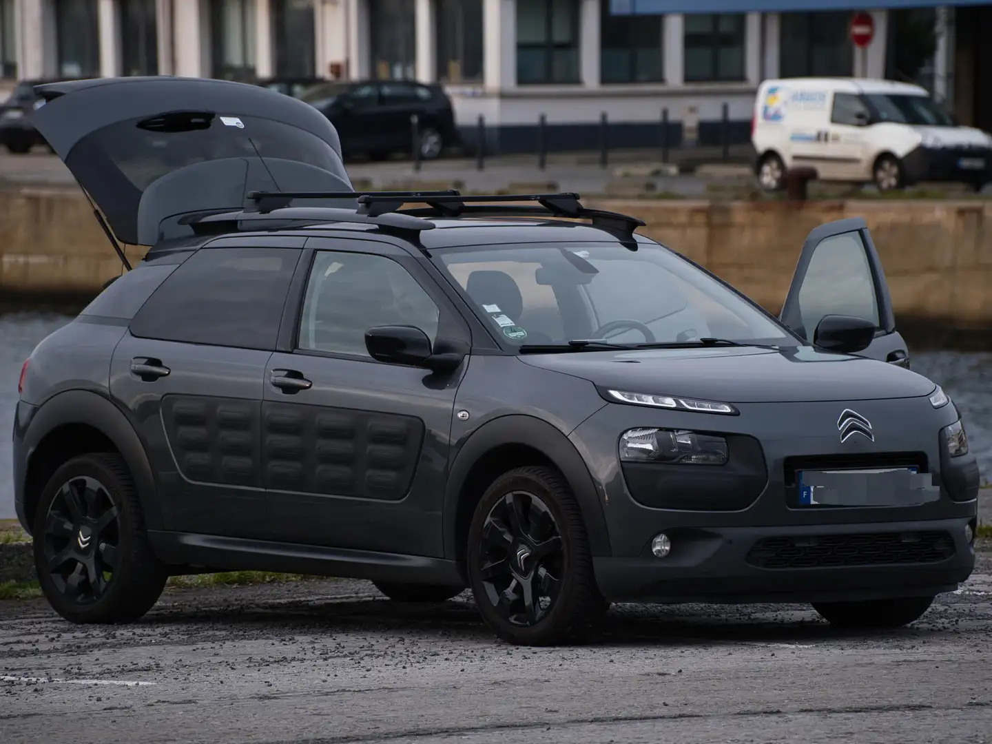 Citroen C4 Cactus Shine 110 PureTech S&S Noir - 1