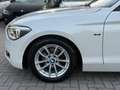BMW 114 1-serie 114i EDE Business Sport|Nieuwe Ketting + K Wit - thumbnail 13