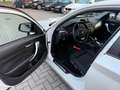 BMW 114 1-serie 114i EDE Business Sport|Nieuwe Ketting + K Wit - thumbnail 16