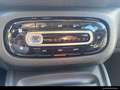 smart forFour smart forfour twinamic PASSION/COOL&AUDIO/SHZ NSW Blauw - thumbnail 14