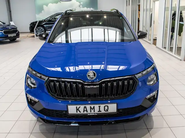Skoda Kamiq view 4