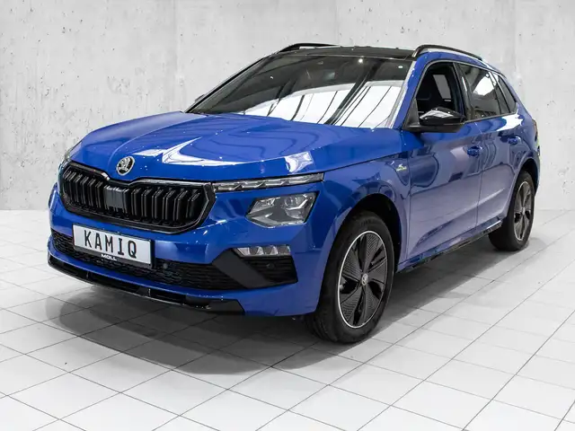 Skoda Kamiq view 2