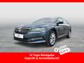 Skoda Superb Style TDI DSG Grau - thumbnail 1