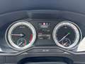 Skoda Superb Style TDI DSG Grau - thumbnail 11