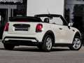 MINI One Cabrio One Cabrio Navi LED RFK DAB Sportsitz Bianco - thumbnail 2