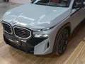 BMW XM 550 kW (748 CV) Label Red Grijs - thumbnail 13