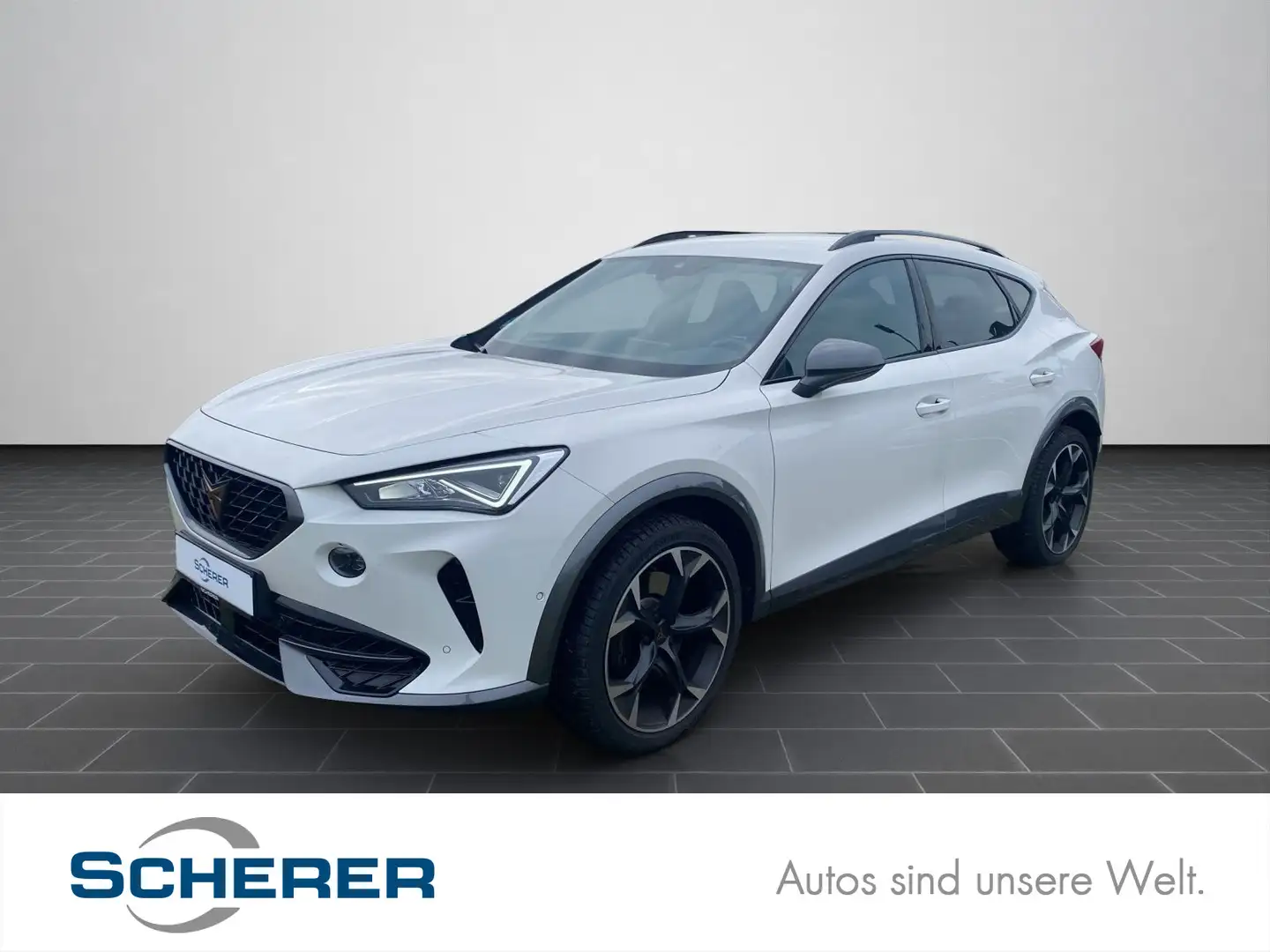 CUPRA Formentor 2.0 TSI LED KAMERA NAVI SITZHEIZUNG Weiß - 1