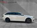 Skoda Octavia 1.6 TDI Combi ACC/APP/SHZ/PDC/L-RADHEIZ/ Weiß - thumbnail 7