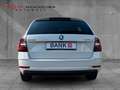 Skoda Octavia 1.6 TDI Combi ACC/APP/SHZ/PDC/L-RADHEIZ/ Weiß - thumbnail 5