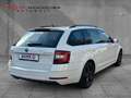 Skoda Octavia 1.6 TDI Combi ACC/APP/SHZ/PDC/L-RADHEIZ/ Weiß - thumbnail 8