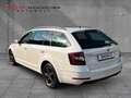 Skoda Octavia 1.6 TDI Combi ACC/APP/SHZ/PDC/L-RADHEIZ/ Weiß - thumbnail 4