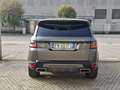 Land Rover Range Rover Sport 3.0 tdV6 HSE Dynamic *TAGLIANDI CERTIFICATI* Grigio - thumbnail 6