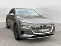 Audi e-tron e-tron 50 quattro advanced*Ambiente*Memory*AHK Grijs - thumbnail 6