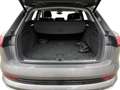 Audi e-tron e-tron 50 quattro advanced*Ambiente*Memory*AHK Grijs - thumbnail 13