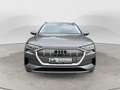 Audi e-tron e-tron 50 quattro advanced*Ambiente*Memory*AHK Grijs - thumbnail 7
