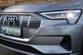 Audi e-tron e-tron 50 quattro advanced*Ambiente*Memory*AHK Grau - thumbnail 39