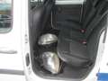 Renault Kangoo 1.5 dci Expression Klima Unfall Blanco - thumbnail 10