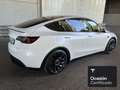 Tesla Model Y Performance Wit - thumbnail 23