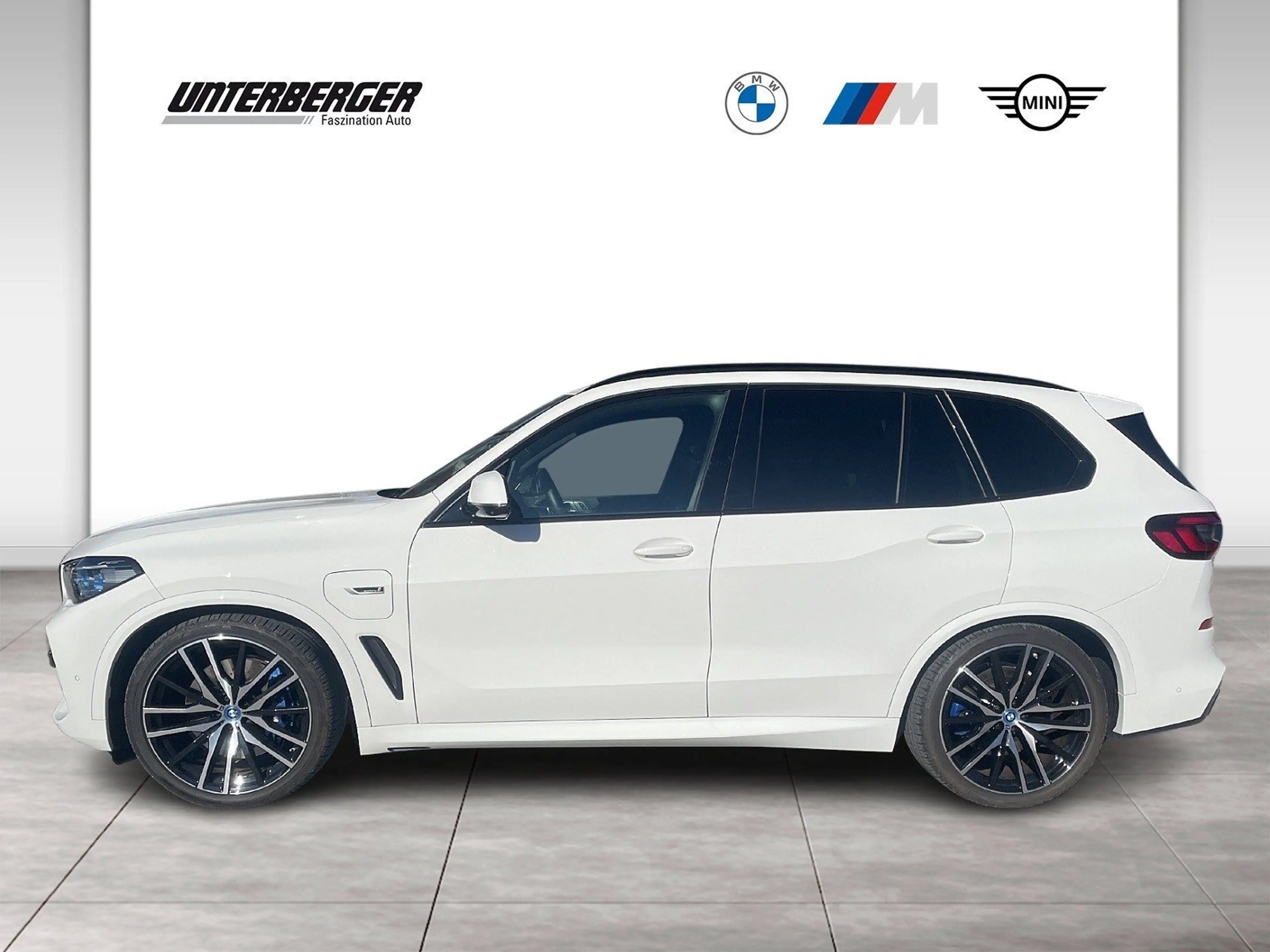 BMW X5 xDrive45e B&W *Skylounge* — photo 3