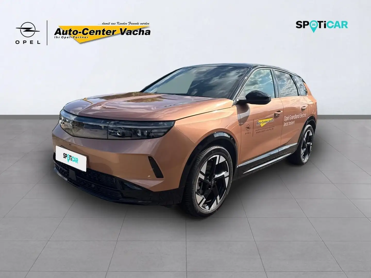 Opel Grandland Electric 157kW GS inkl. Winterräder - 1